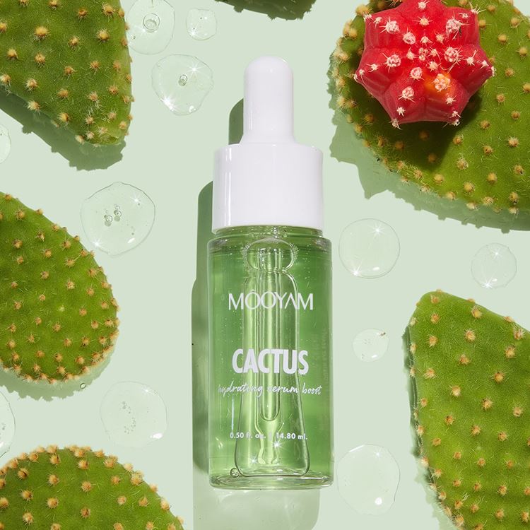 Cactus yog cov khoom xyaw moisturizing rau koj daim tawv nqaij txhua hnub